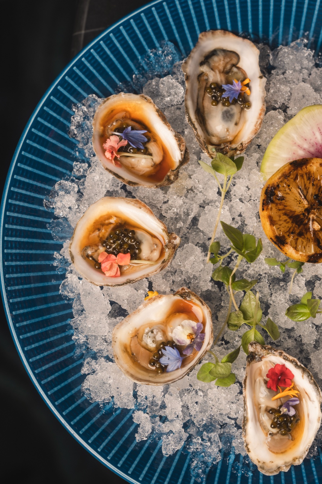 Oysters and caviar over ice, shot from above