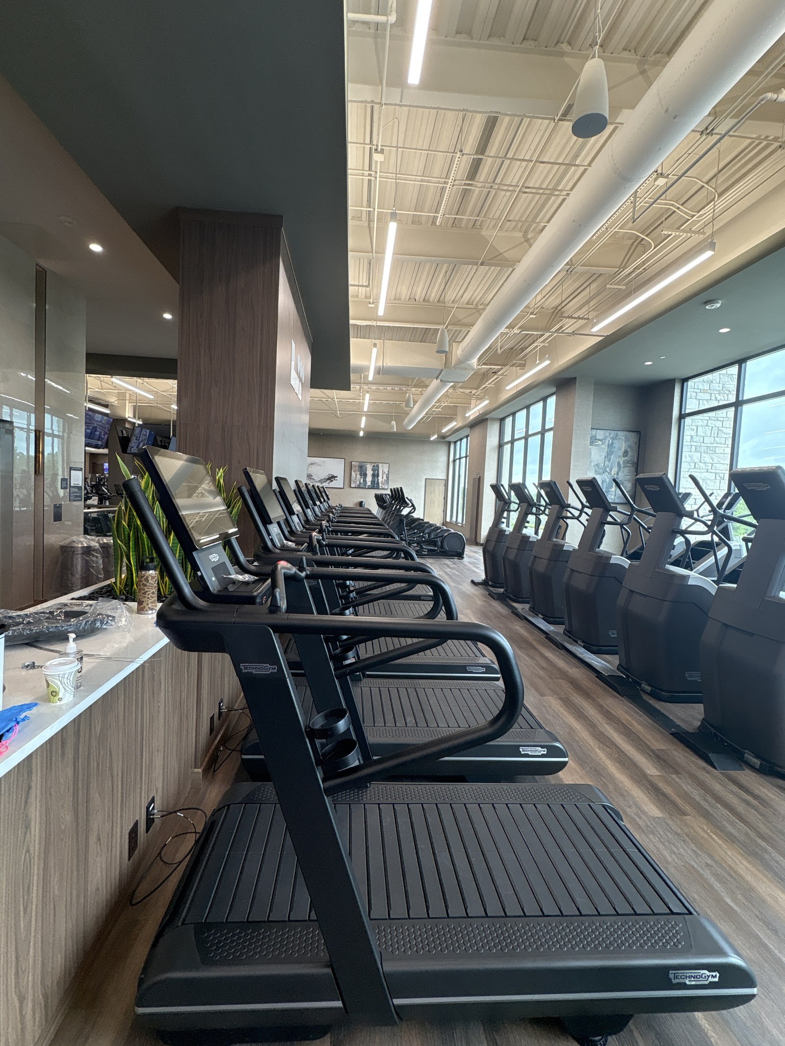 A row of treadmills and cardio machines along a window wall.