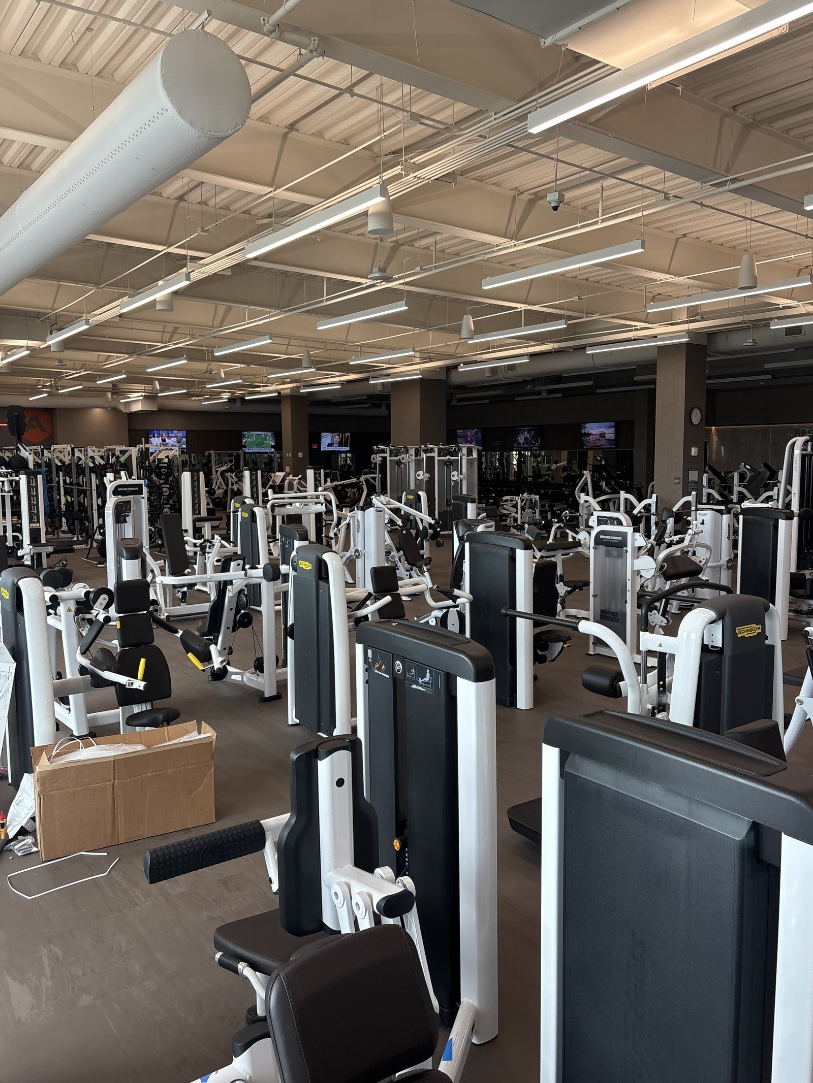 Rows of selectorized strength machines on the fitness floor.