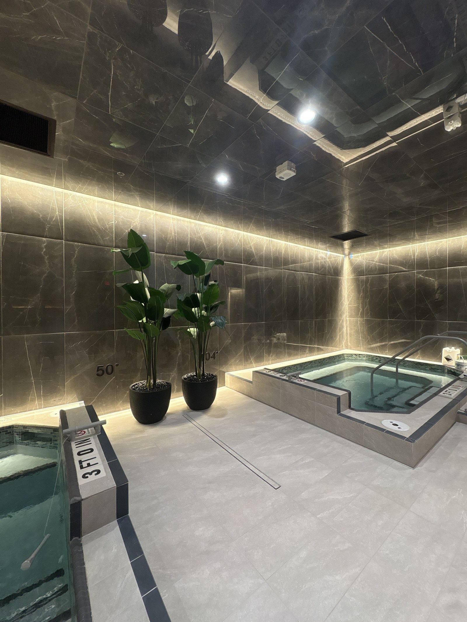 A tiled whirlpool with steps, plants and a plunge pool in the foreground.