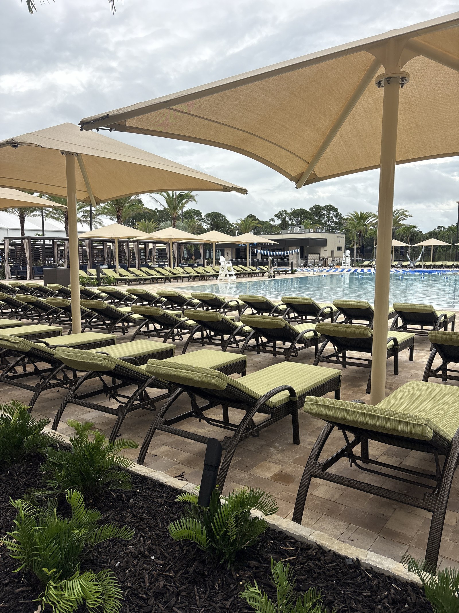 Lounge chairs and shade umbrellas lined up on the pool deck.
